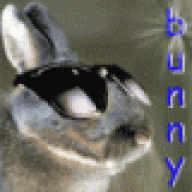 _bunny_