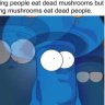 bauzi