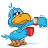 Early Bird