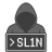 SL1N
